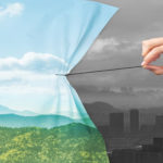 Greenwashing: 5 Environmental Trends That Aren’t So Eco-Friendly
