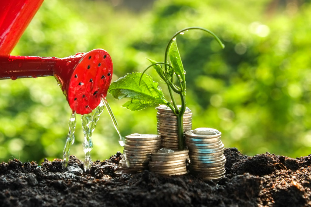 Money growth concept plant growing out of coins